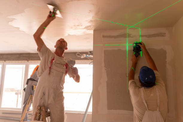 Best Drywall for Remodeling  in USA